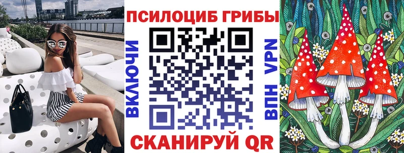 Купить Новохопёрск Галлюциногенные грибы Magic Shrooms